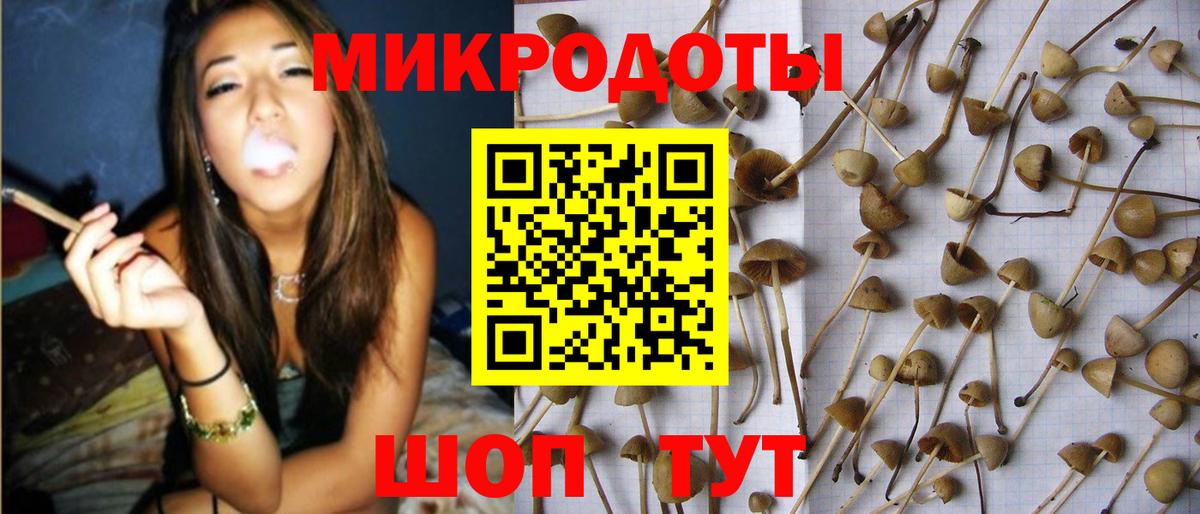 Миасс  Галлюциногенные грибы Psilocybine cubensis  Вход с VPN 
